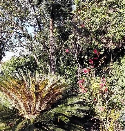Lucrezia Garden Catania