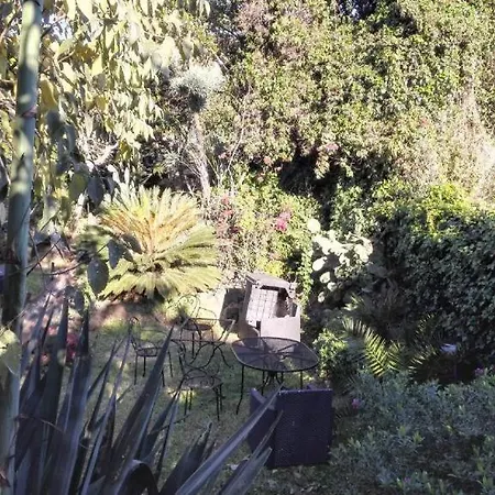 Lucrezia Garden Catania Holiday home